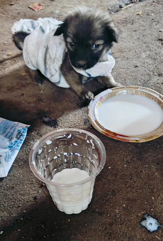 WhatsApp Image 2026-04-04 At 21.54.57